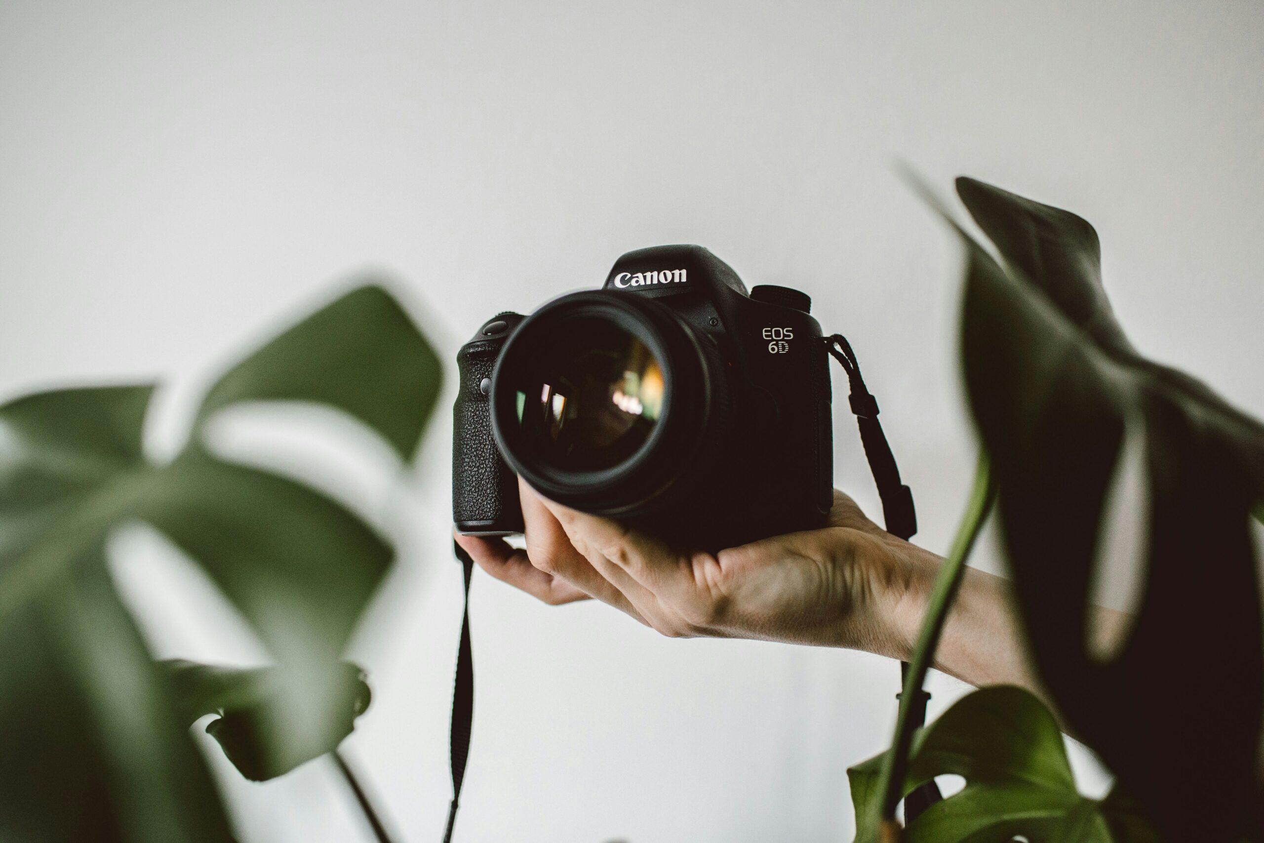 Всемирный день фотографии