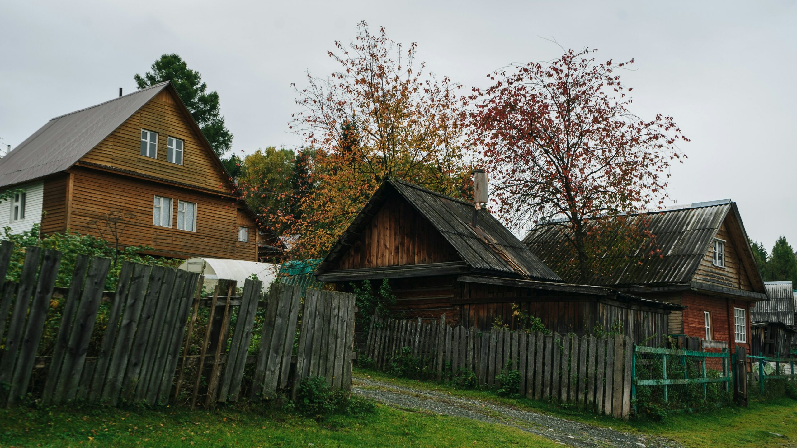 День дачника